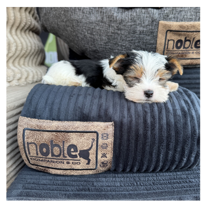 Premium Dog Blanket — Cord & Tracksuit Fabric