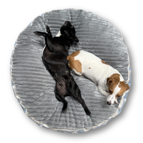 Snugga Poof — Round Orthopaedic Dog Bed