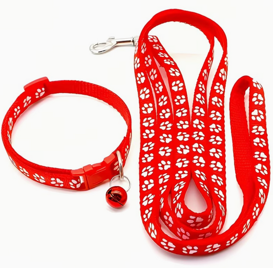 The TrailBlazer — Adjustable Nylon Collar & Leash Set