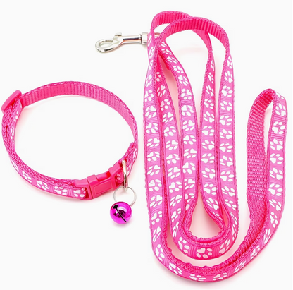 The TrailBlazer — Adjustable Nylon Collar & Leash Set