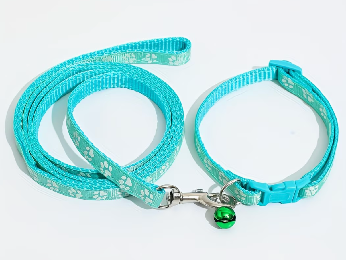 The TrailBlazer — Adjustable Nylon Collar & Leash Set