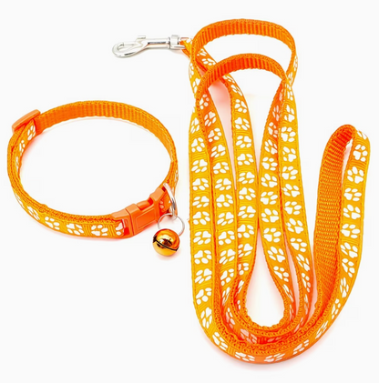 The TrailBlazer — Adjustable Nylon Collar & Leash Set