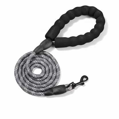 NightStrider — Grey Leash Studio