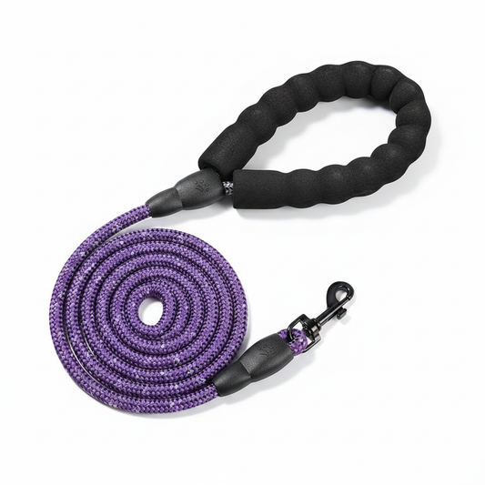 NightStrider — Purple Leash Studio